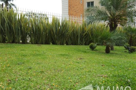 1- MAIMO - Golden Palace