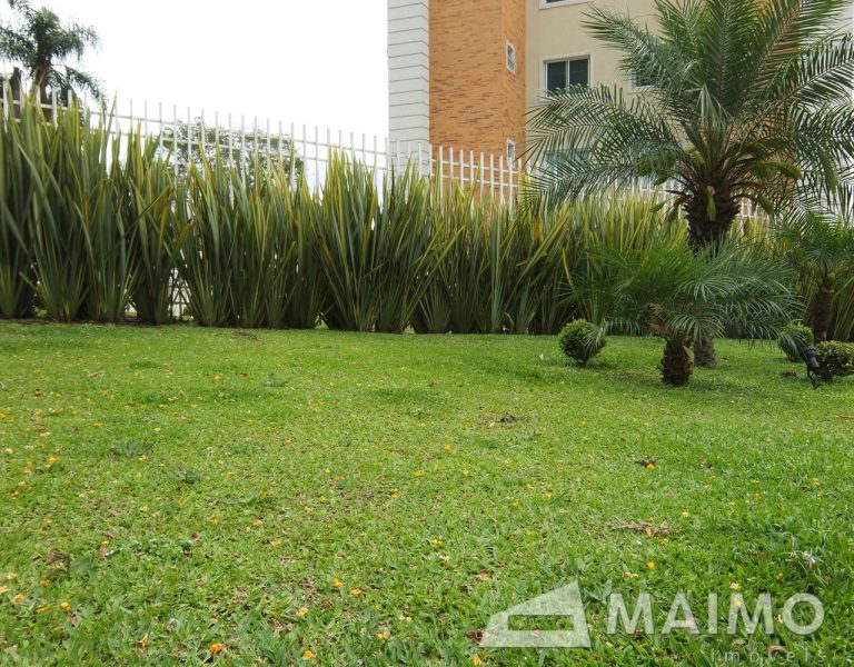 1- MAIMO - Golden Palace